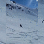 Langlie-Flip2.gif